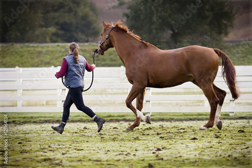 Young woman running with her brown horse in a paddock.