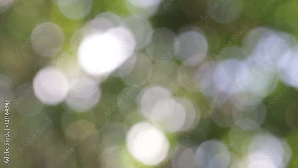 the abstract colors and blur background texture. the abstract colors and blur background texture.
