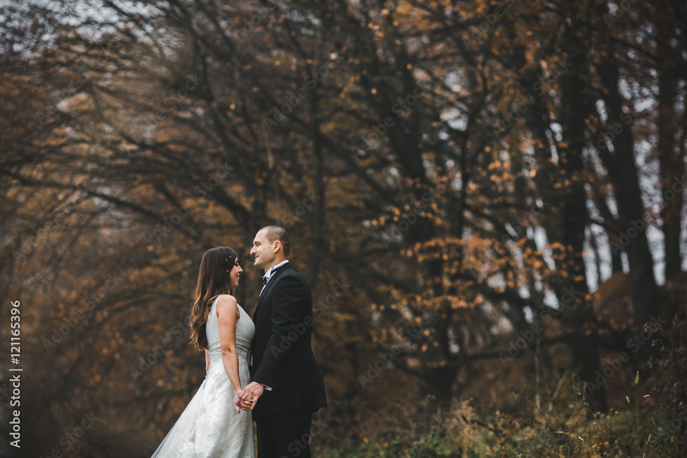 happy bride and groom posing in the autumn forest