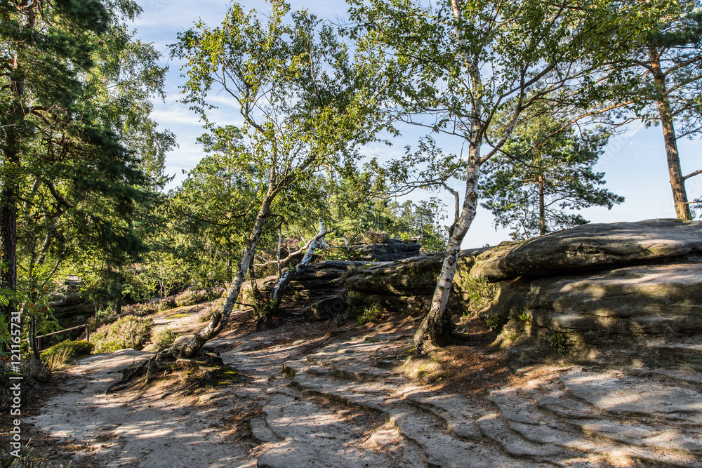 Landschaft, Pfaffenstein, Sächsische Schweiz Landschaft, Pfaffenstein, Sächsische Schweiz