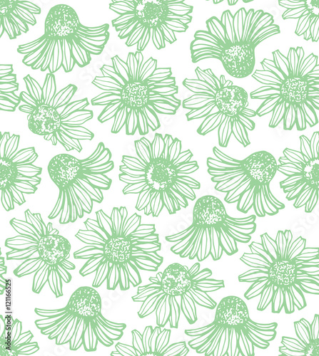 vector hand drawn seamless chamomile background