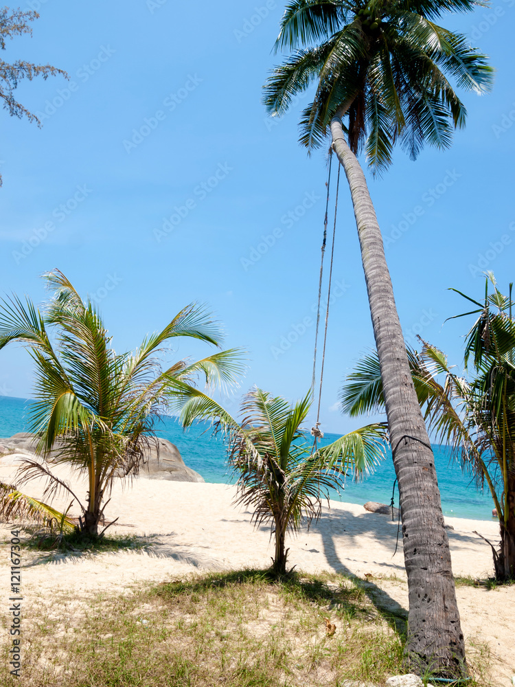 Palm trees on the beach on the island of Koh Samui in Thailand