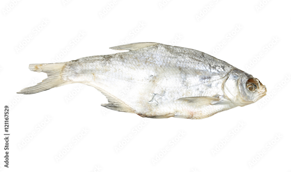 Dried fish on a white background