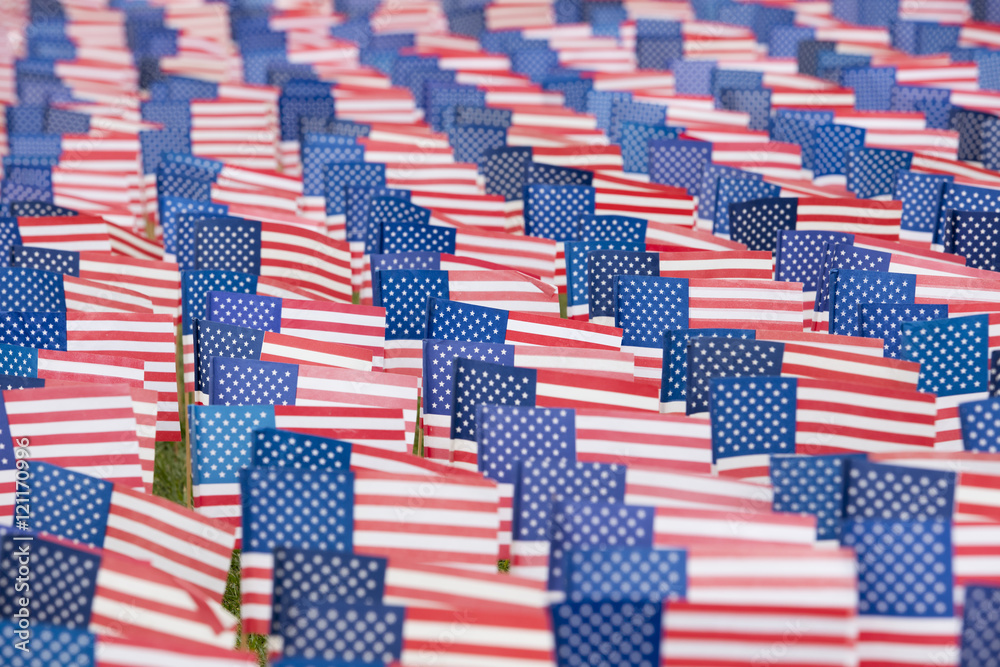 Fototapeta premium United State Flags for 9-11 Event