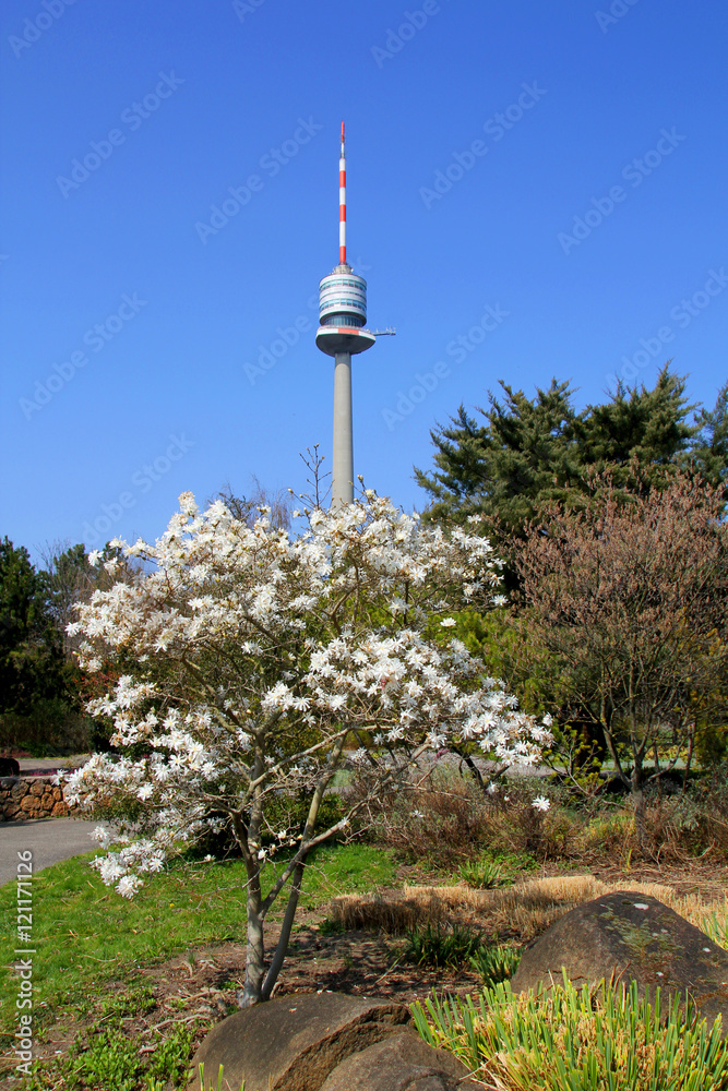 Fototapeta premium Spazieren im Donaupark Wien