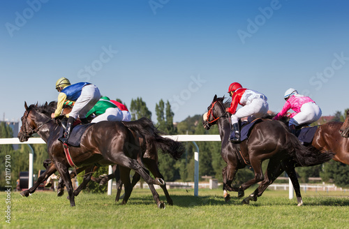 Race horses running towards the finish line. © vladimirhodac