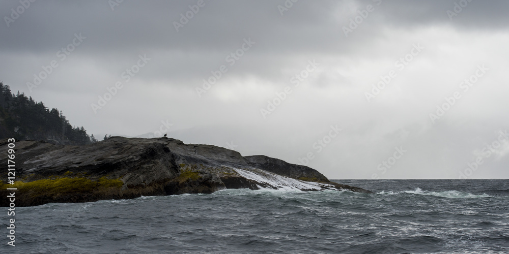 Obraz premium hippa14199