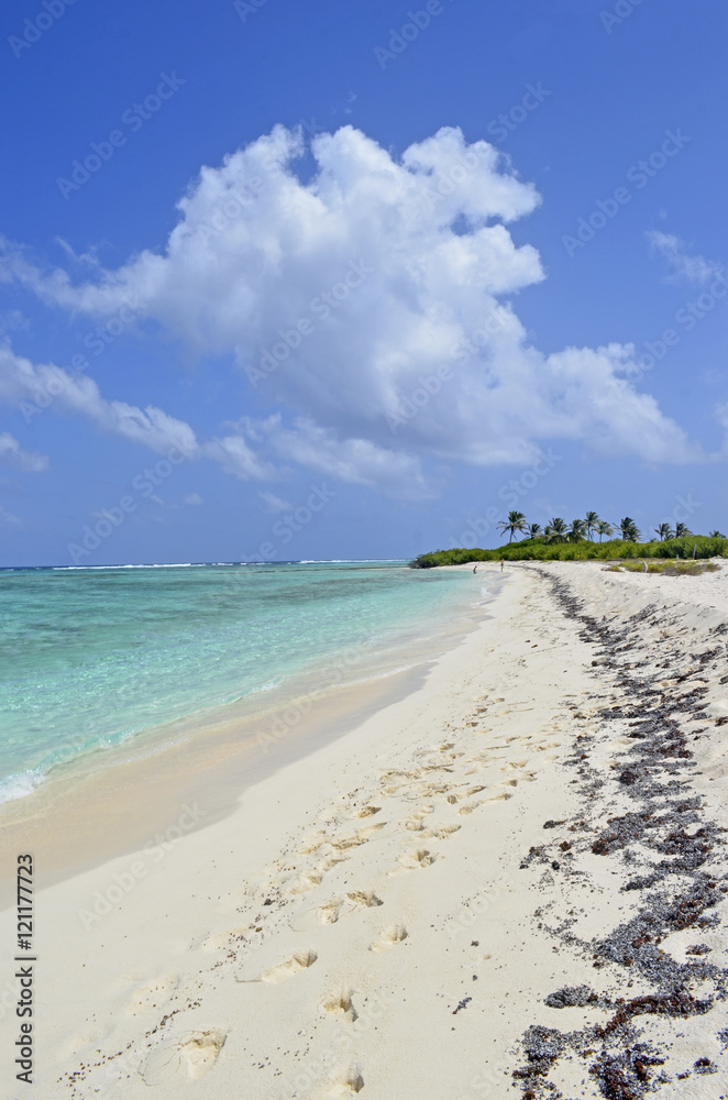 Obraz premium Playa de mar turquesa y arena blanca en Cayo Bolívar, Colombia, cerca del archipiélago San Andrés