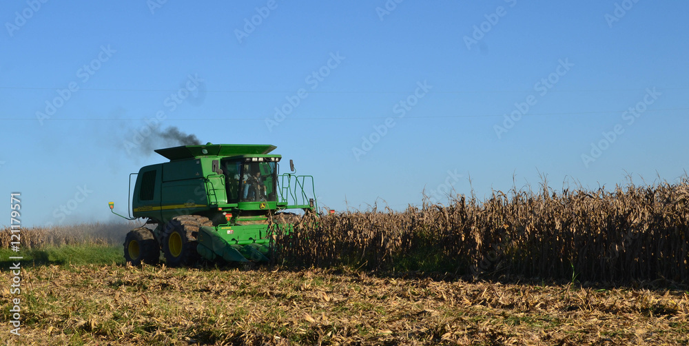 Fototapeta premium Opening Up the Field in the Combine