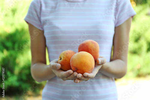 Female hands holding fresh peaches