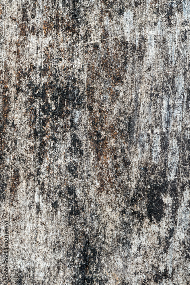 Old wood wall