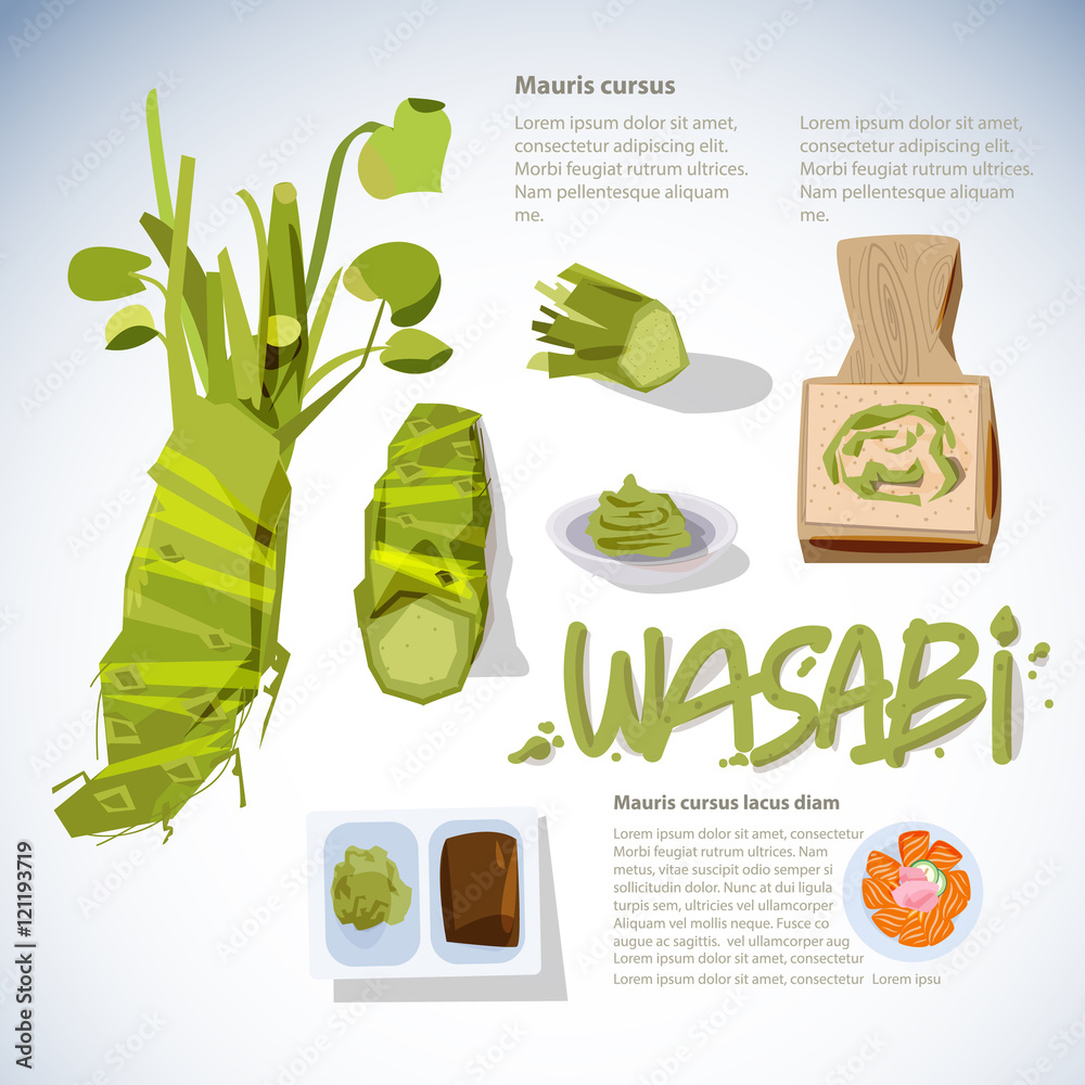 wasabi or set. grated fresh wasabi by shark skin grat Stock Vector | Adobe Stock