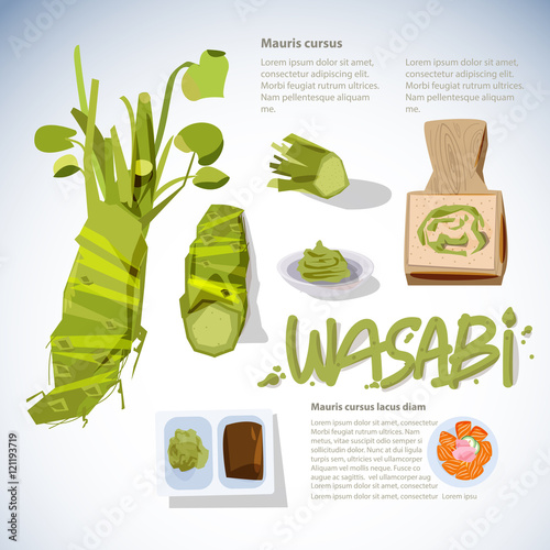 wasabi root or plant set. grated fresh wasabi by shark skin grat