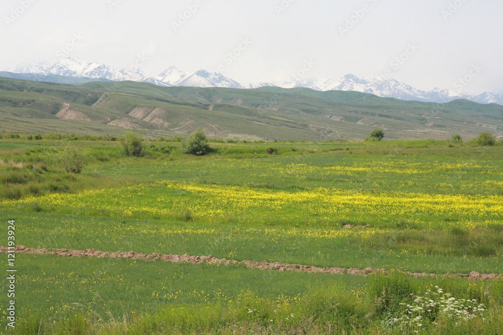 Landscape, Karakol, Issyk-Kul Region, Kyrgyz, Kyrgyzstan