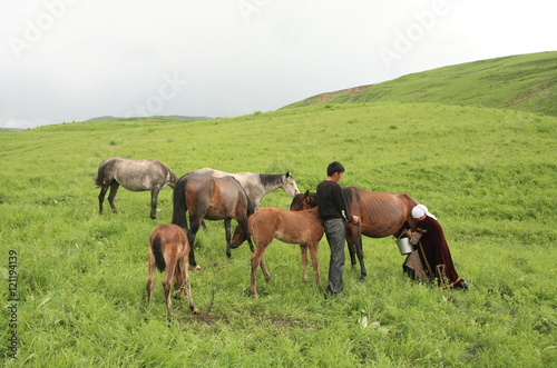 Milking a horse, Nomad in Saryblack, Kyrgyz, Kyrgyzstan