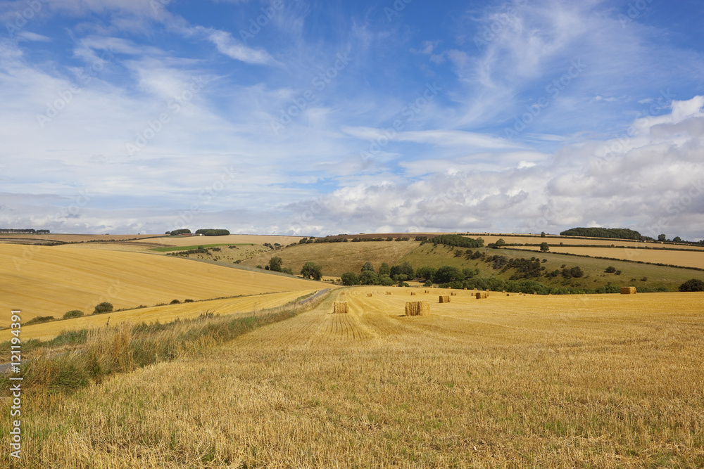 harvest in the yorkshire wolds