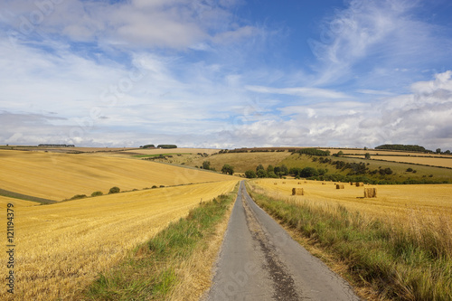 harvest and country road