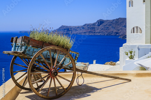 Decorative old cart with lavender flowers on a roof terrace in Oia, Santorini, Greece. 