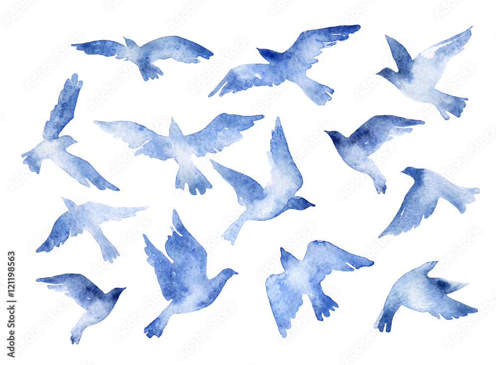 Abstrakcjonistyczny latający ptak ustawiający z akwareli teksturą odizolowywającą na białym tle. <span>plik: #121198563 | autor: Tanya Syrytsyna</span>