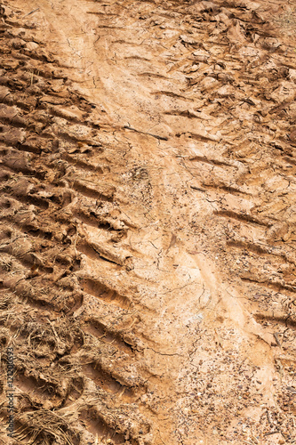 Tire tracks in dirt mud.