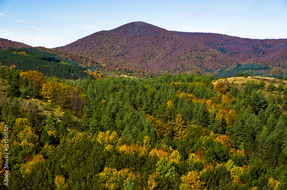 Autumn forest and meadows colors at rolling hills of Zeljin mountain, Serbia