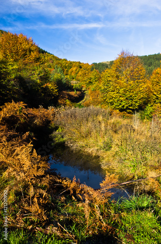 Fototapeta Naklejka Na Ścianę i Meble -  Small pond at colorful autumn scene with forest at rolling hills of Zeljin mountain, Serbia