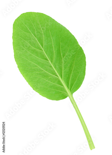 Leaf of choy sum a kind of chinese vegetable isolated on white