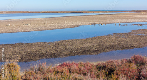 Flooded area at low tide in Murcia, Spain