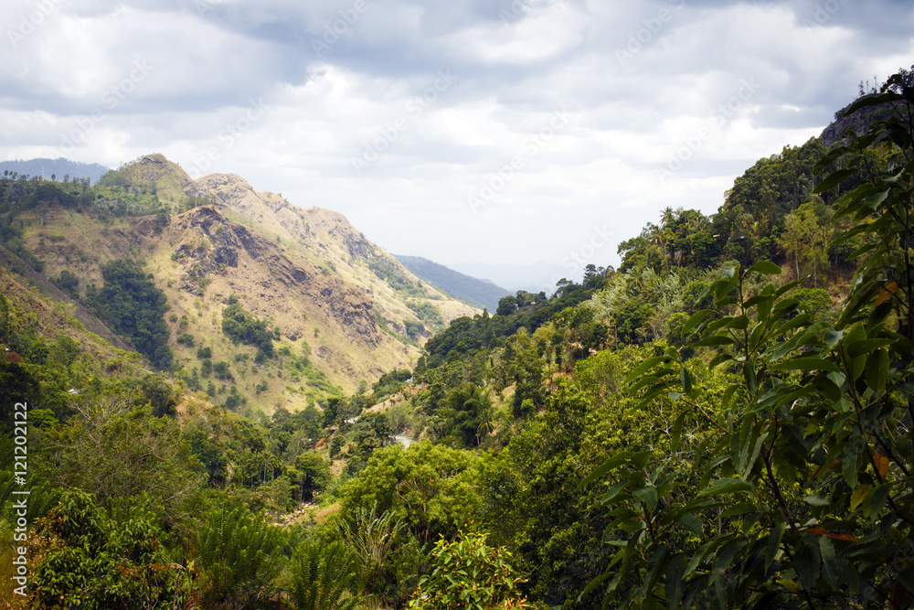 sri-lanka landscape