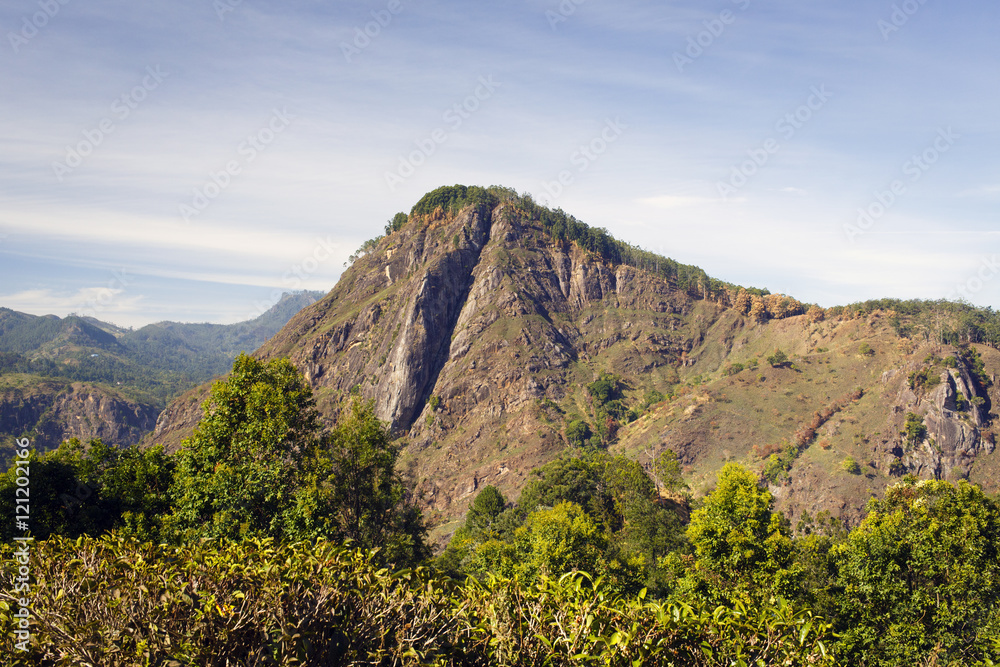 sri-lanka landscape