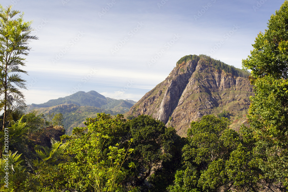 sri-lanka landscape