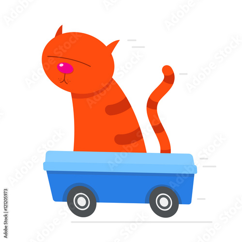 Red cat driving its litter box at speed