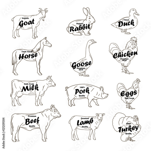 farm animals vector collection. Butchery logo and label with text