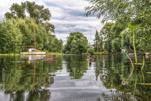 two ducks on the river in the summer in cloudy day