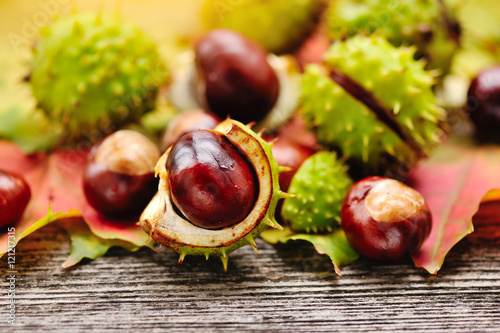 Fresh chestnuts with maple leaves on wooden background