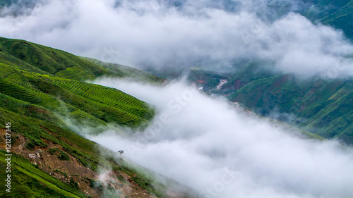 Rice fields on terraced of Ta Xua  Son La   Vietnam