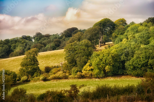 Rural famland hill with woodland