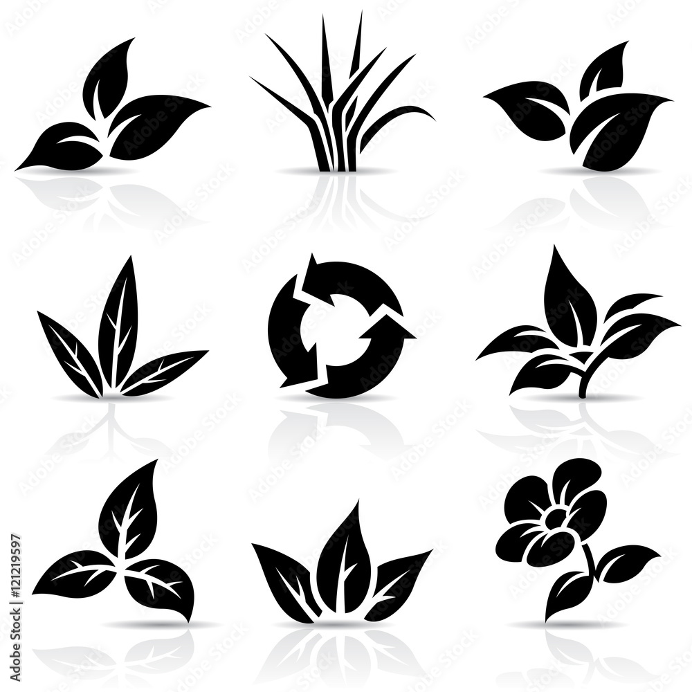 Black Leaves isolated on white