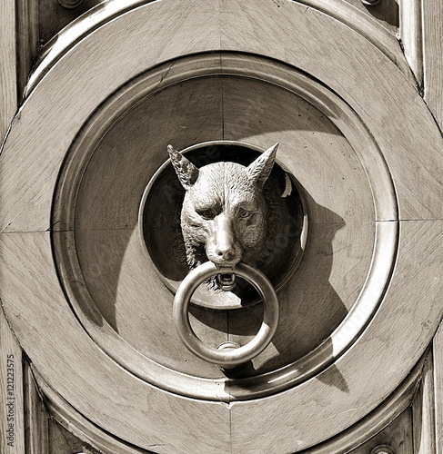 The wolf and the knocker