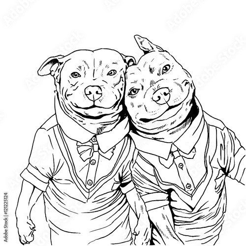 pitbull dog puppy  best friends friendship selfie