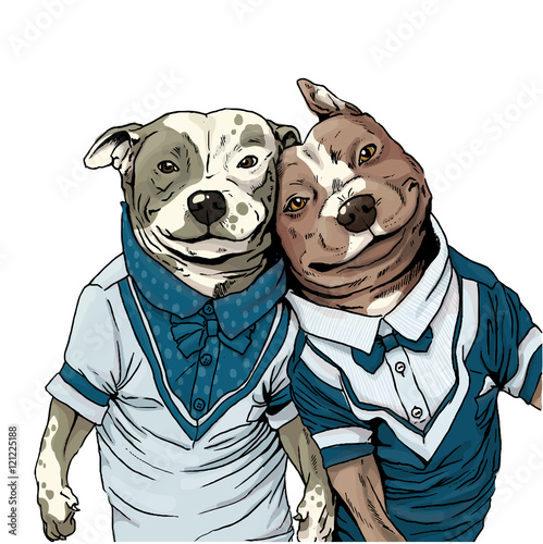 pitbull dog puppy  best friends friendship selfie