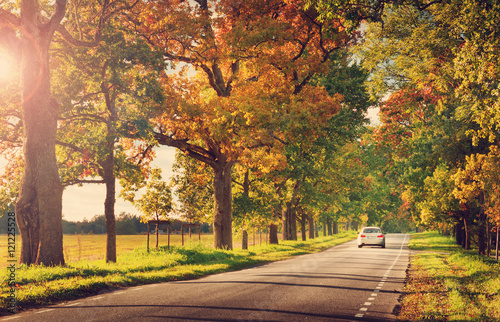 old asphalt road with beautiful trees on the sides in autumn