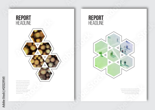 Business brochure design template. Vector flyer layout, blur background with elements for magazine, cover, poster design. A4 size.