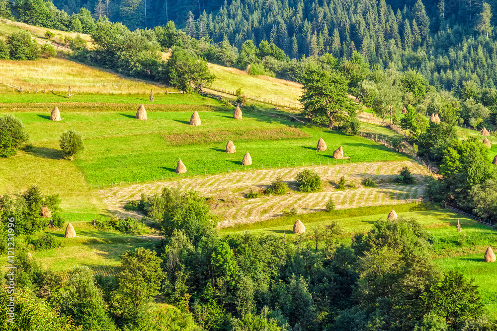 rural field on hillside rural field on hillside