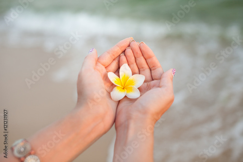 Plumeria in hand