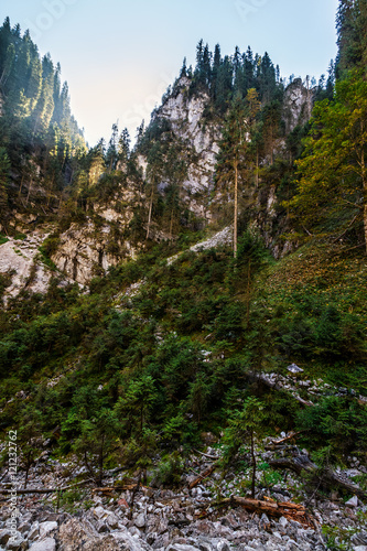 Canyon in romanian mountains