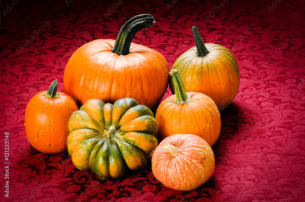Assorted pumpkins on red table cloth Assorted pumpkins on red table cloth