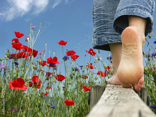 Wallpaper Mural marche pieds nus - détente à la campagne Torontodigital.ca