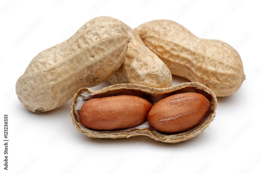Peanuts Peanuts