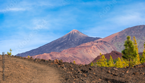 Volcanic mountain Teide and lava desert valley in Teide National Park, Tenerife, Canary Islands, Spain protected by unesco heritage site